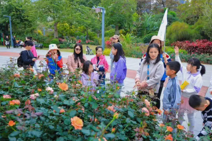 深圳四大公园月季盛宴，300品种共迎春！