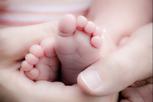 专家称未来机器人或可替代人类生育 伦理问题成关键障碍