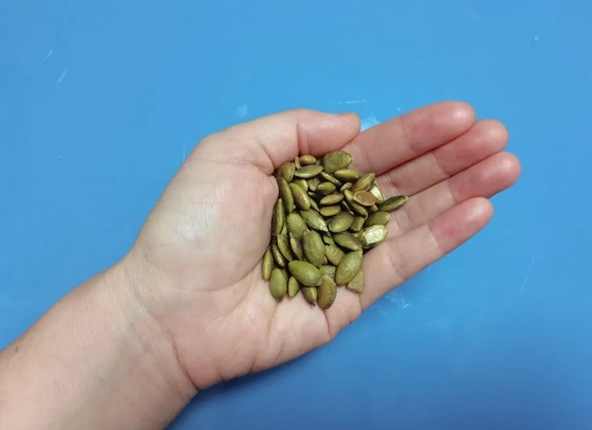 每日一把南瓜籽，健康好处想不到！