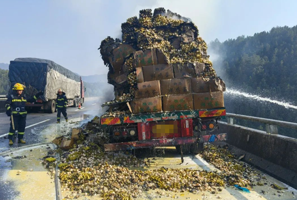 10万枚鸡蛋散落高速 烈日炙烤险变"煎蛋"