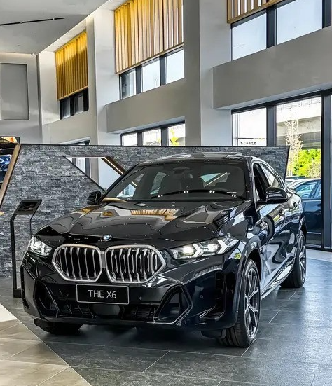 宝马X6：最美溜背SUV的设计魅力解析