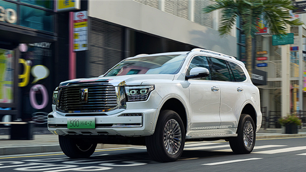 长城汽车被曝存在"隐情"，市场关注其未来发展