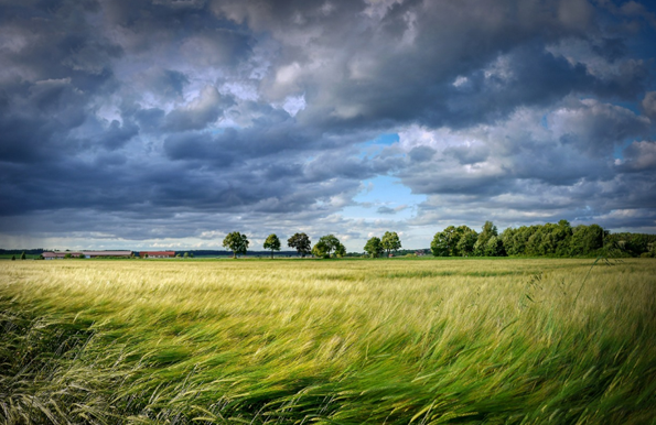 华北地区将迎罕见持续性大风 局地阵风或达13级