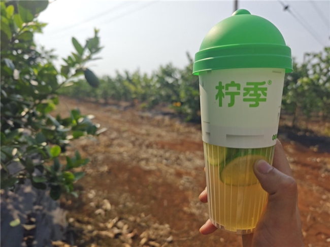 柠季供应链：从"千亩柠檬"到"数智出海"的进阶之路