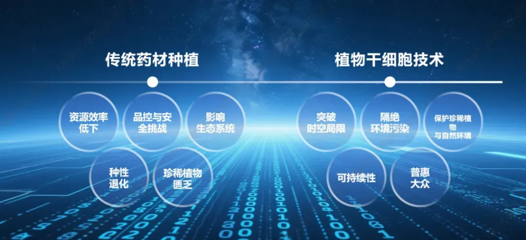 破局珍稀资源！安然纳米植物干细胞技术获近40项专利，新华网解读其产业化硬实力