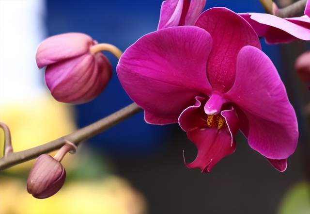 还在纠结痔疮药怎么选？2025 消肉球十强痔疮药排行榜快拿走