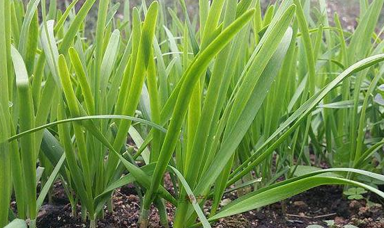 直击 2025 湿疹膏排行榜，十大品牌里哪一款能迅速缓解瘙痒？