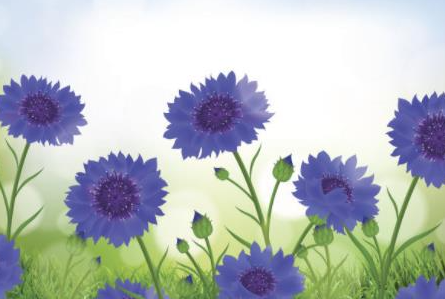 2025 不可错过！痔疮药排行榜，消肉球快、止血强的产品曝光