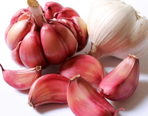 2025 年痔疮药排行榜新鲜出炉，消肉球能力超强的产品曝光